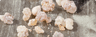 Frankincense
